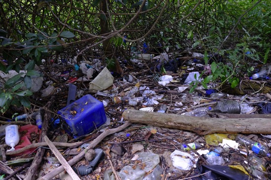 Sungei Mandai Kechil mangrove trash