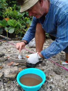 Sieving muddy substrate with the help of some water